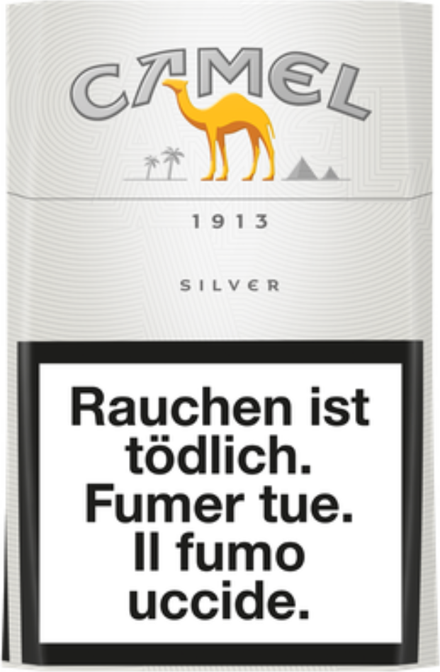 Camel Silver Box
